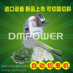 切葱机 箱式电动小型商用切葱机 进口切葱机器