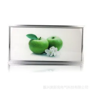 供应集成吊顶LED照明灯 LED平板灯 300*600 LED长灯面板灯 18W 苹果