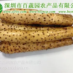 供应深圳龙岗蔬菜配送公司 价格实惠 新鲜健康_新鲜蔬菜