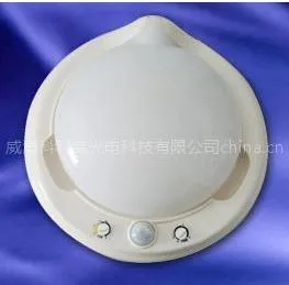供应红外感应吸顶灯具