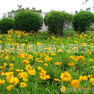 �󻨽𼦾����Ӽ۸� �໨������������ ���ܻ�����������