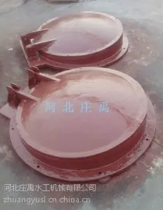 ����ֱ������Բ���Ŧ�500mm