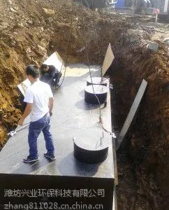 ��ҵ����BSXY����һ�廯��ˮ�����豸