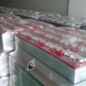 供应青岛山东电动四轮观光车进口国产电瓶