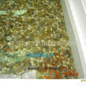 供应【南通市花园景观鱼池水生物过滤过程、常年无需换水】