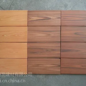 供应100x200x12红木纹防滑砖