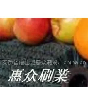 供应果蔬清洗机毛刷 萝卜清洗机毛刷