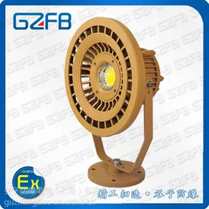 GZD96-LED防爆投光灯/80W