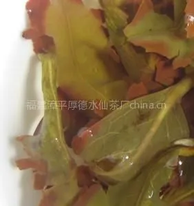供应茶叶 漳平水仙茶 冻茶 干茶 焙火茶 茶厂直销