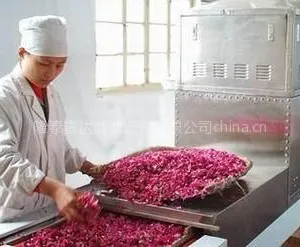 供应玫瑰花微波烘干机
