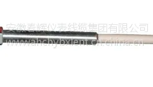 高温防腐热电偶WRPF-430GM-高温防腐热电偶WRPF-430G(必亮春辉牌)