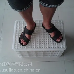 供应金乡塑料筐,金乡塑料周转筐,金乡塑料筐价格,金乡大蒜周转筐