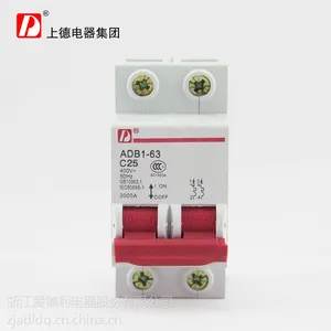 供应供应【爱德利】DZ47-63/2P优质小型断路器 C25A高分断小型断路器
