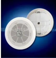 ***吸顶扬声器|深圳***吸顶扬声器|***吸顶扬声器批发|***吸顶扬声器生产|***吸顶扬声器制造