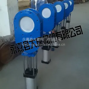 陶瓷双闸板阀/气动双闸板阀/钨钢密封出料/大唐陶瓷阀