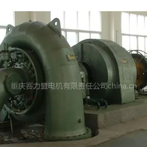供应两支点水轮发电机