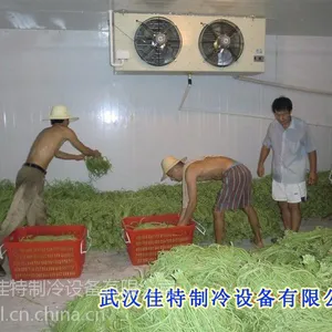 红安蔬菜保鲜库工程 红安蔬菜保鲜库建造