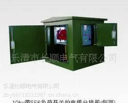 供应带SF6负荷开关的电缆分支箱 电缆分支箱 高压电缆分支箱