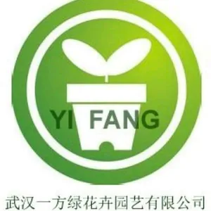 武汉市江岸区一方绿花卉园艺经营部