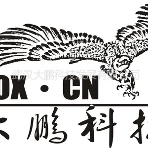 武汉鑫大鹏科技发展有限公司