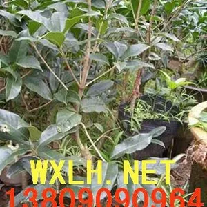 ��Ӧ�������۸�,����С��2����-10�������� ���۹���������