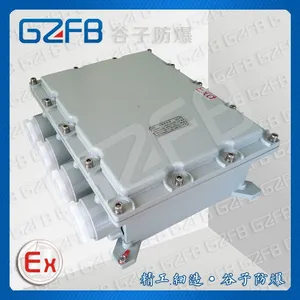BXJ51-G30 隔爆接线箱 左进左出线 防爆分线箱 非标定做 壁挂式