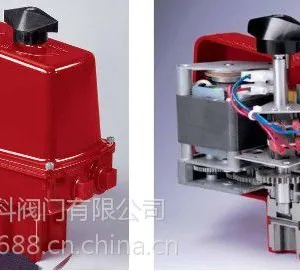 供应S73型电动执行器中国总代理(美国BRAY博雷阀门)