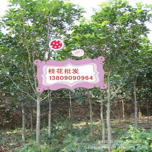 ��Ӧ�������۸�,����С��2����-10�������� ���۹���������
