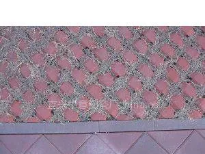 供应草坪砖 道板砖 外墙砖 文化砖 劈开砖 真空砖 透水砖 青砖等