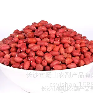 产地直销花生米 红皮花生 红皮花生米批发 包物流 量大从优