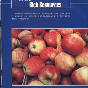 供应2015新产季的优质***苹果浓缩汁,酸度1.0 %