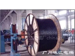广州市珠江电缆总厂