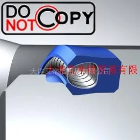 供应弹簧张力密封,四氟U形圈,弹簧蓄能密封