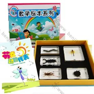 ��Ӧ���ҵͼ۹�Ӧѧǰ�������ǰ���걾|������ߡ�����֫���������