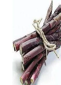 供应北京中农芦笋公司专业提供***芦笋种子