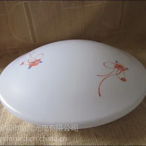 供应12W吸顶灯 LED吸顶灯 面包灯 亚克力吸顶灯 批发LED吸顶灯