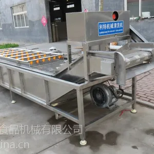 供应香菇清洗机