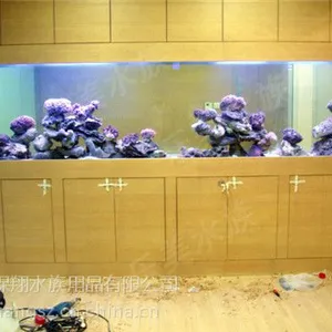 办公室鱼缸定做,水族馆鱼缸定做,海鲜鱼缸定做,亚克力鱼缸销售
