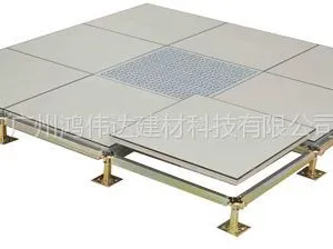 广州防静电地板型号FS800