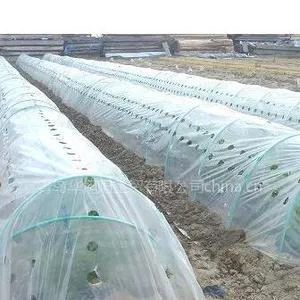 供应PE华旭阳透明打孔小棚膜保温膜