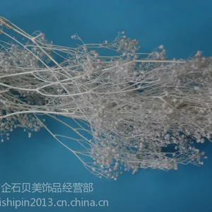 供应供应原色漂白满天星干花,快乐花,干花,天然花材,香包花材