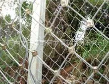 供应广西防护网市场,广西防抛网安装,南宁防护网报价,桂林防护网生产,柳州防护网销售
