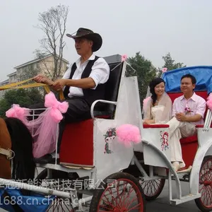 供应***的婚礼马车