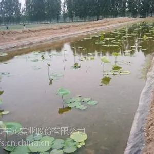 ��Ӧ����ź���Ͳ�