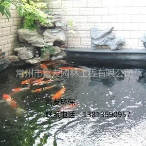 供应适用于100立方以下水量的锦鲤鱼池生化过滤设备