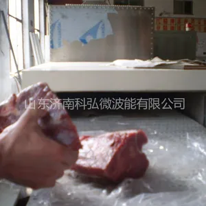 供应微波牛肉解冻设备