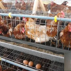 供应蔬菜大棚丝 沈阳大棚丝 笼具丝 刺丝 围栏网专用丝 石笼网丝