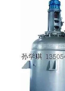供应蒸汽加热反应釜