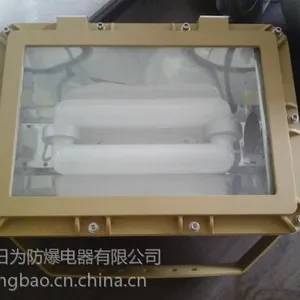 供应防爆泛光灯SBD1109-YQL防爆无极灯光源