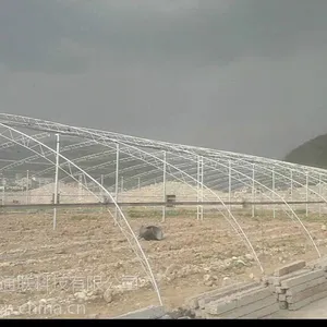 供应春秋蔬菜大棚建设春秋蔬菜大棚建设建议春秋蔬菜大棚建设厂家